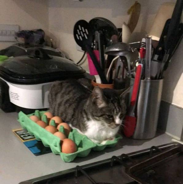 daily picdump 97 pics 2.html - 97 HD Photos | Premium Gallery 2017