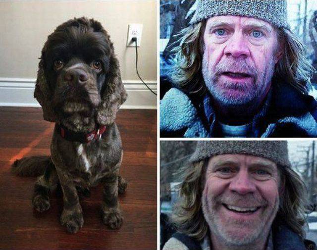 daily picdump 97 pics 2.html - 97 HD Photos | Premium Gallery 2017