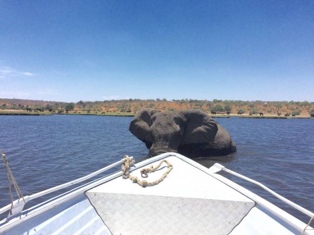 daily picdump 97 pics 2.html - 97 HD Photos | Premium Gallery 2017