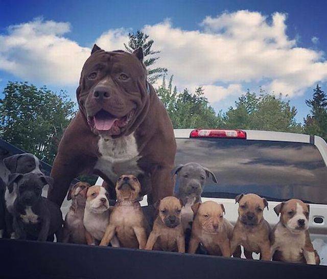 daily picdump 97 pics 2.html - 97 HD Photos | Premium Gallery 2017