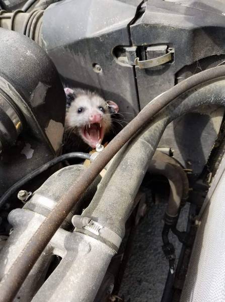 daily picdump 97 pics 2.html - 97 HD Photos | Premium Gallery 2017