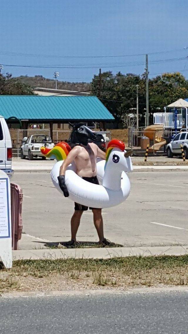 daily picdump 97 pics 2.html - 97 HD Photos | Premium Gallery 2017