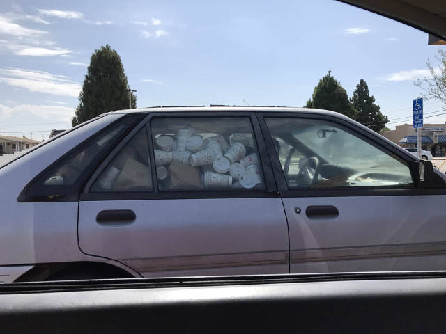 morning picdump 49 pics 17.html - 49 HD Photos | Premium Gallery 2017