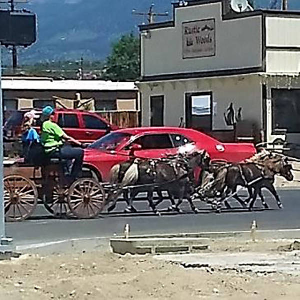 morning picdump 49 pics 17.html - 49 HD Photos | Premium Gallery 2017