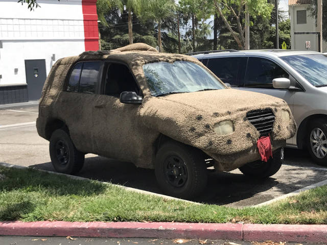 morning picdump 49 pics 17.html - 49 HD Photos | Premium Gallery 2017