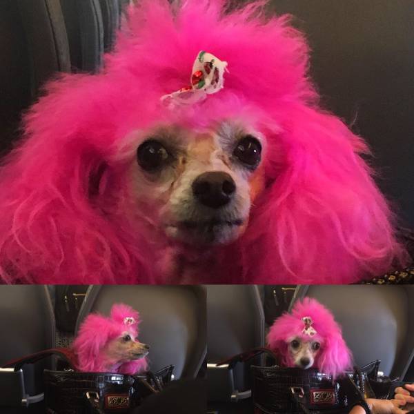 daily picdump 97 pics 6.html - 97 HD Photos | Premium Gallery 2017