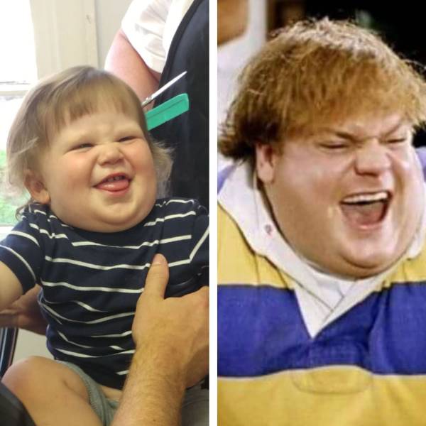 daily picdump 97 pics 6.html - 97 HD Photos | Premium Gallery 2017