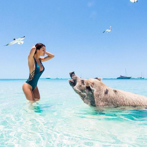 daily picdump 97 pics 6.html - 97 HD Photos | Premium Gallery 2017