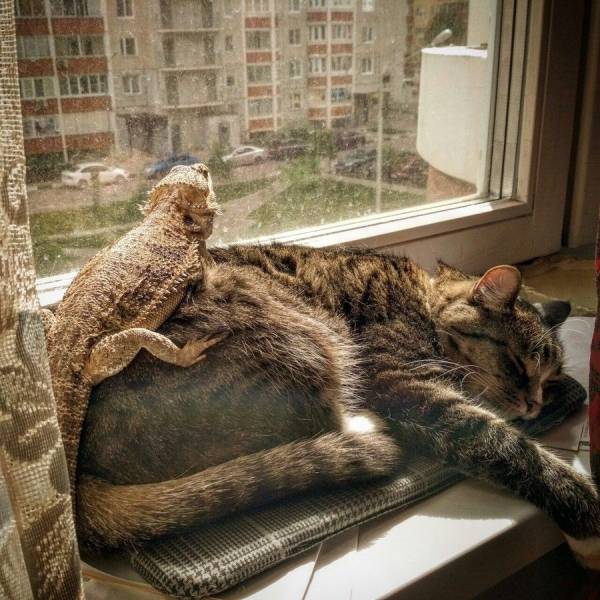 daily picdump 97 pics 6.html - 97 HD Photos | Premium Gallery 2017