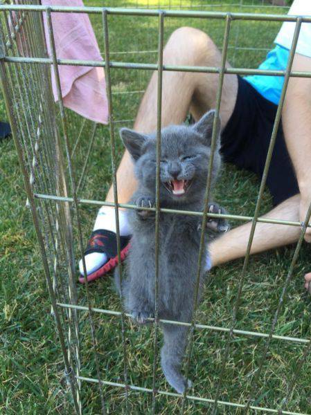 daily picdump 97 pics 6.html - 97 HD Photos | Premium Gallery 2017