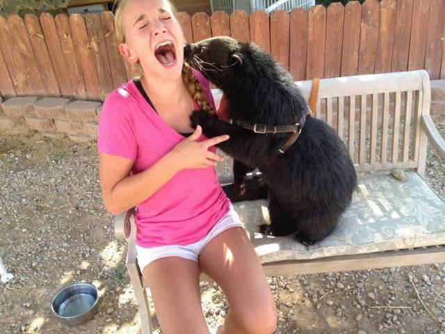 daily picdump 97 pics 6.html - 97 HD Photos | Premium Gallery 2017