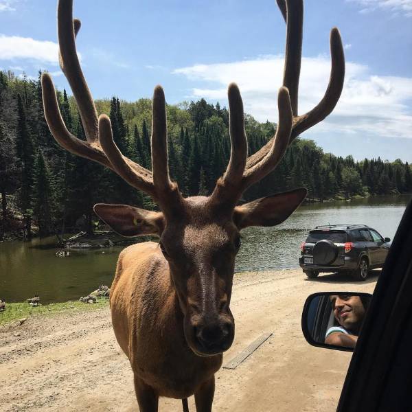 daily picdump 97 pics 6.html - 97 HD Photos | Premium Gallery 2017