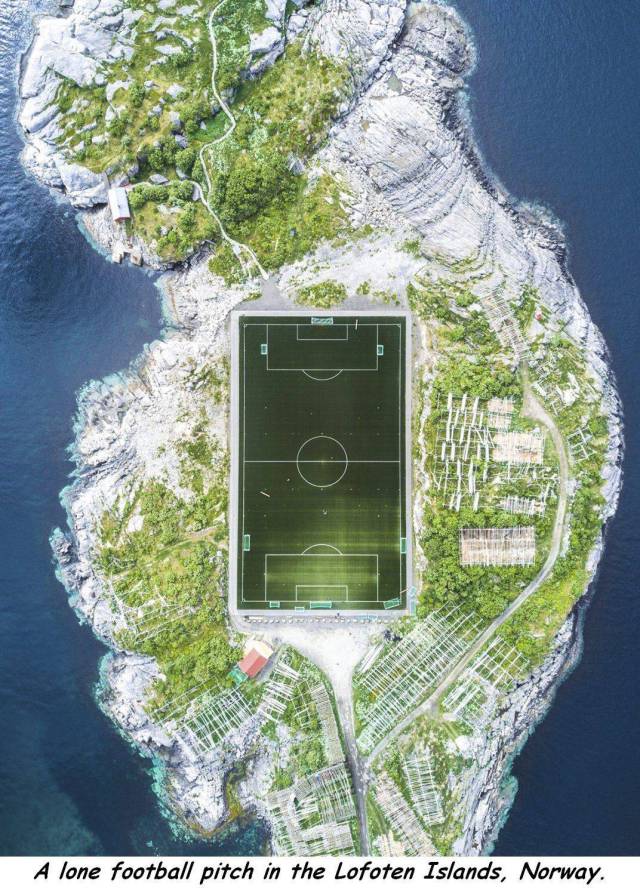 daily picdump 97 pics 6.html - 97 HD Photos | Premium Gallery 2017