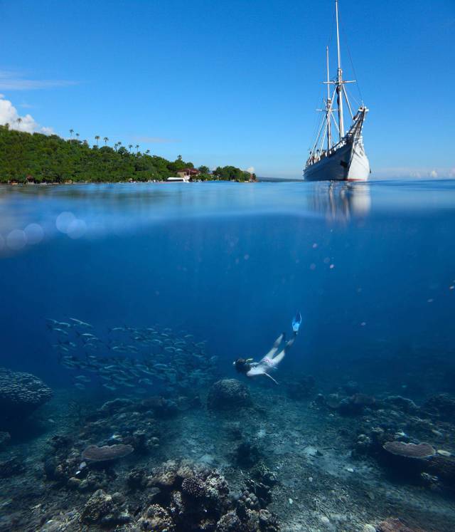 daily picdump 97 pics 6.html - 97 HD Photos | Premium Gallery 2017