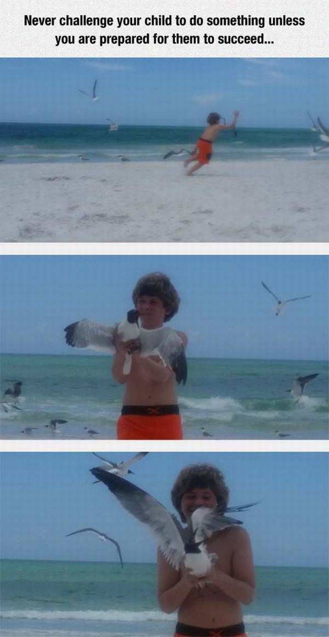 daily picdump 97 pics 6.html - 97 HD Photos | Premium Gallery 2017