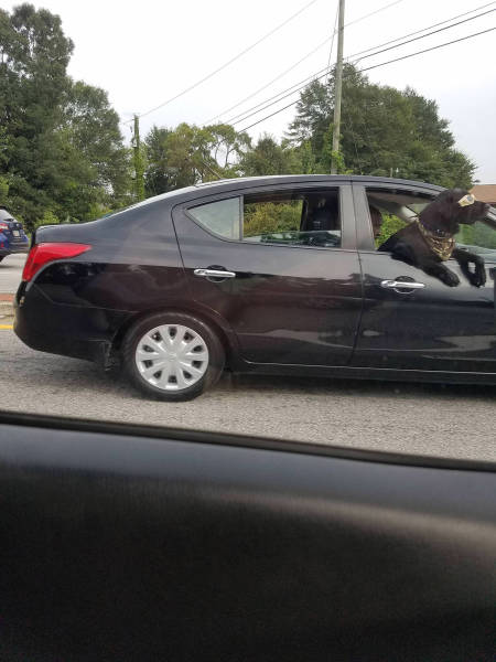 morning picdump 53 pics 18.html - 53 HD Photos | Premium Gallery 2017