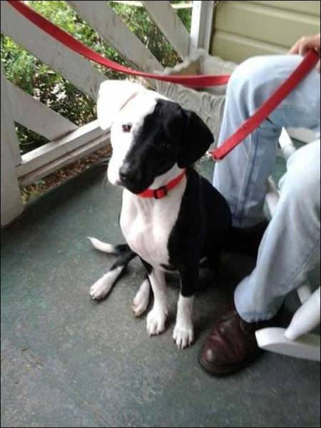 daily picdump 99 pics 3.html - 99 HD Photos | Premium Gallery 2017