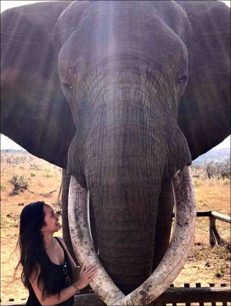 daily picdump 99 pics 3.html - 99 HD Photos | Premium Gallery 2017