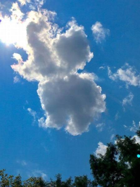 daily picdump 99 pics 3.html - 99 HD Photos | Premium Gallery 2017