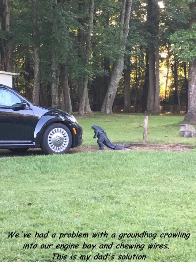 daily picdump 99 pics 3.html - 99 HD Photos | Premium Gallery 2017