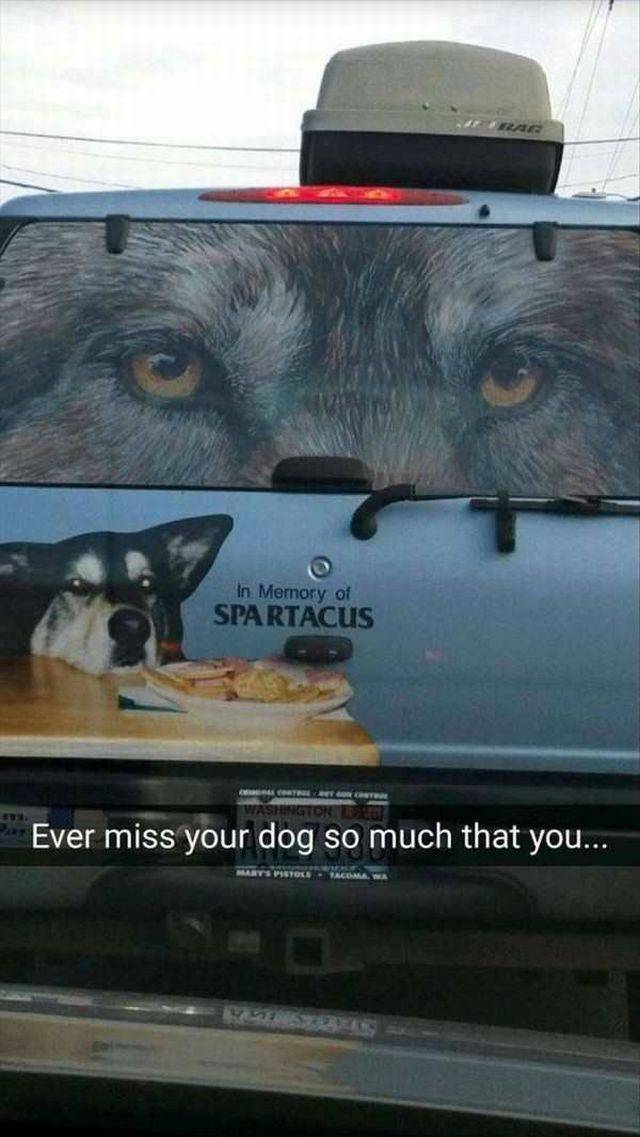 daily picdump 99 pics 3.html - 99 HD Photos | Premium Gallery 2017