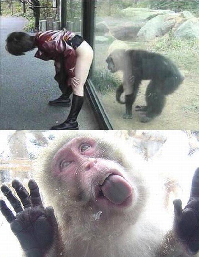 grownup corner 50 pics 11 gifs 29.html - 50 HD GIF | Premium Gallery 2017