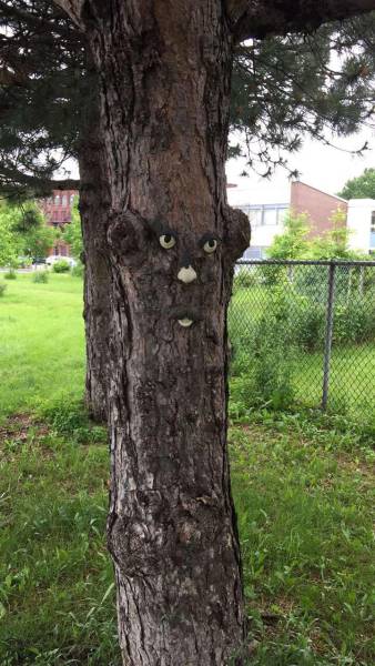 morning picdump 50 pics 17.html - 50 HD Photos | Premium Gallery 2017