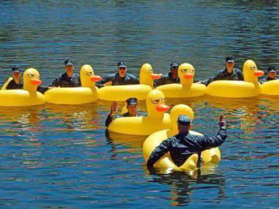 morning picdump 50 pics 17.html - 50 HD Photos | Premium Gallery 2017