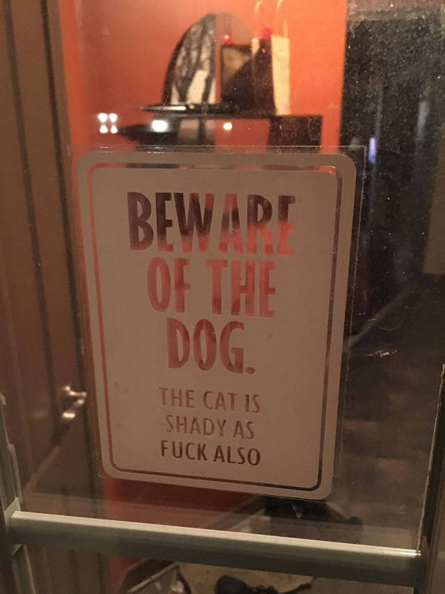 morning picdump 50 pics 17.html - 50 HD Photos | Premium Gallery 2017