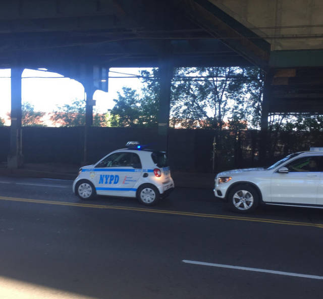 Daily Picdump [WEEKEND EDITION]