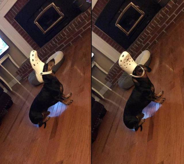 Daily Picdump [WEEKEND EDITION]