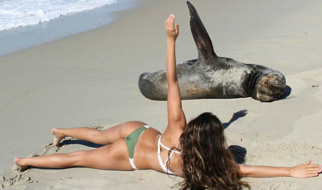 daily picdump weekend edition 53 pics 17.html - 53 HD Photos | Premium Gallery 2017