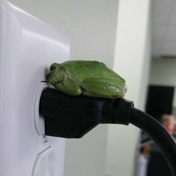 daily picdump weekend edition 53 pics 17.html - 53 HD Photos | Premium Gallery 2017