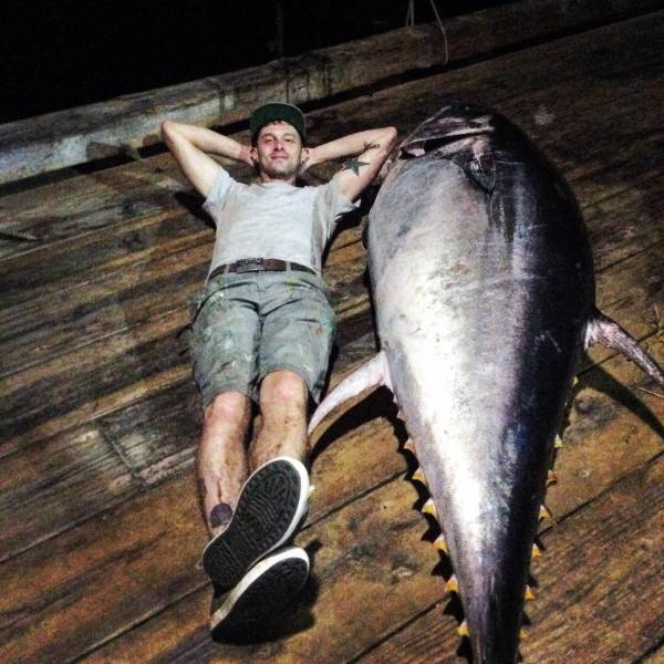 daily picdump weekend edition 53 pics 17.html - 53 HD Photos | Premium Gallery 2017