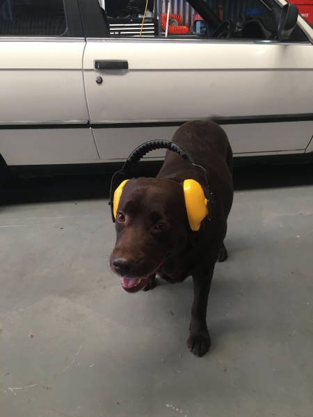 daily picdump weekend edition 53 pics 17.html - 53 HD Photos | Premium Gallery 2017