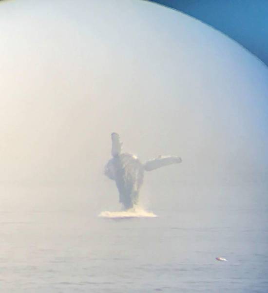 daily picdump weekend edition 53 pics 17.html - 53 HD Photos | Premium Gallery 2017