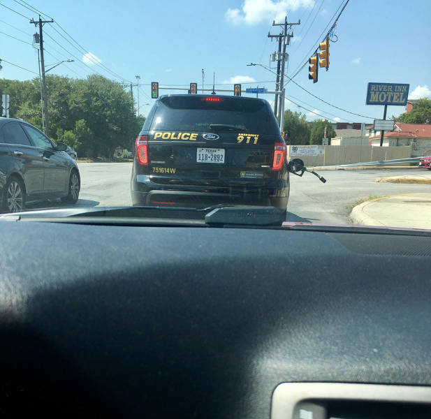 daily picdump weekend edition 53 pics 17.html - 53 HD Photos | Premium Gallery 2017