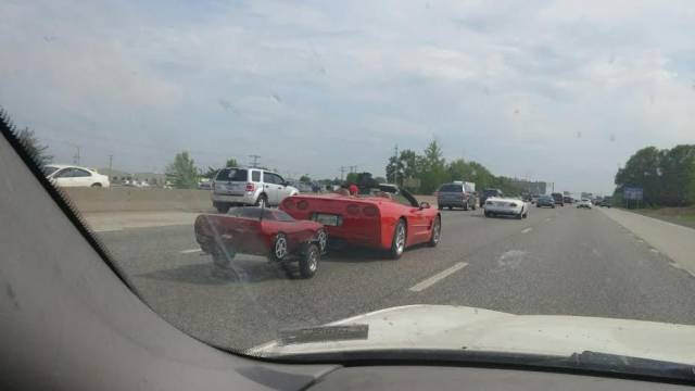 daily picdump 95 pics 11.html - 95 HD Photos | Premium Gallery 2017