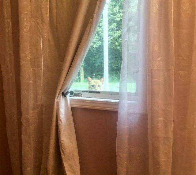 daily picdump 95 pics 11.html - 95 HD Photos | Premium Gallery 2017