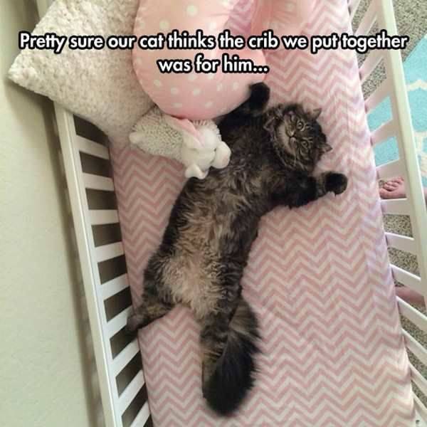 daily picdump 95 pics 11.html - 95 HD Photos | Premium Gallery 2017