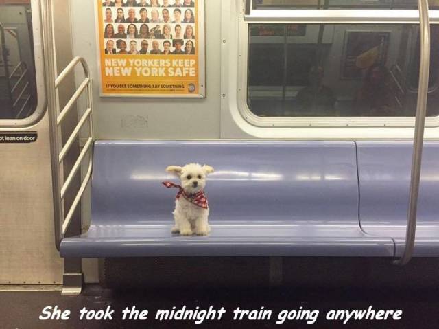 daily picdump 95 pics 11.html - 95 HD Photos | Premium Gallery 2017