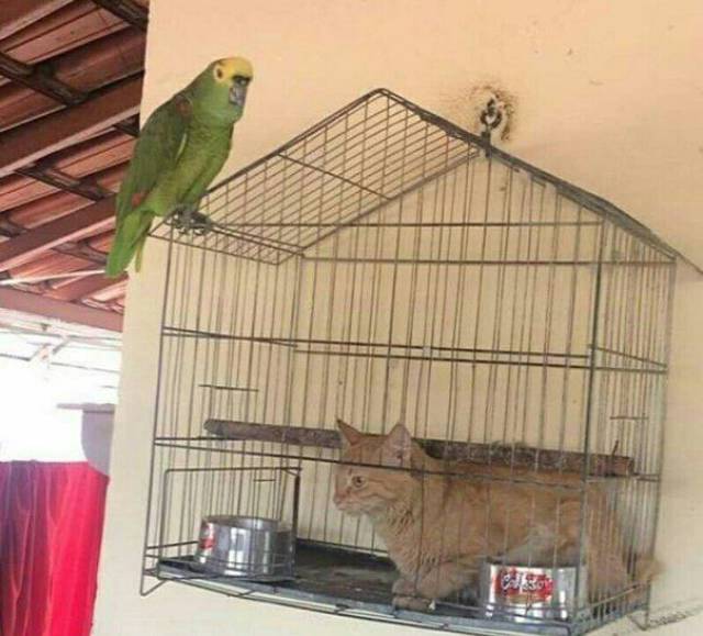 daily picdump 95 pics 11.html - 95 HD Photos | Premium Gallery 2017