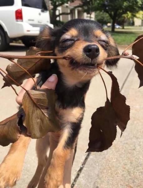 daily picdump 95 pics 11.html - 95 HD Photos | Premium Gallery 2017