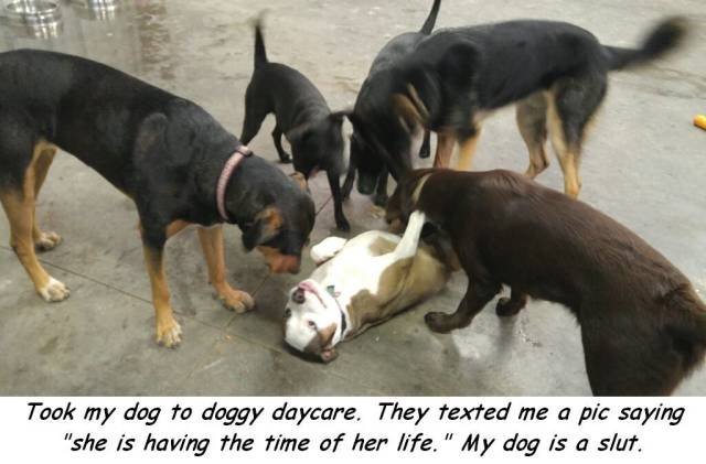 daily picdump 95 pics 11.html - 95 HD Photos | Premium Gallery 2017