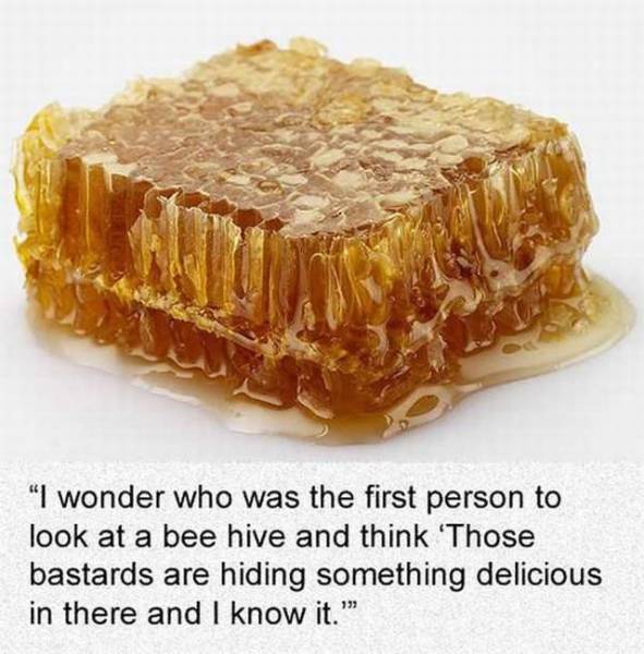 daily picdump 95 pics 11.html - 95 HD Photos | Premium Gallery 2017