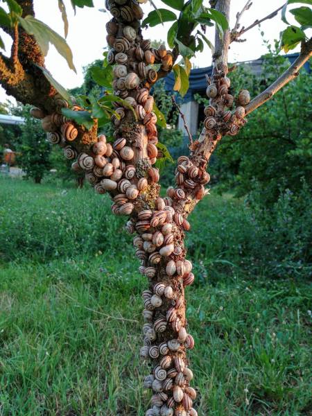 daily picdump 95 pics 11.html - 95 HD Photos | Premium Gallery 2017