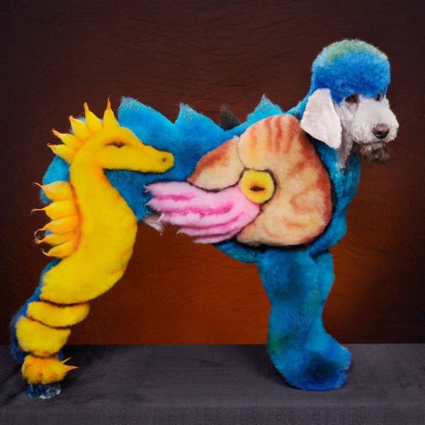 daily picdump 95 pics 11.html - 95 HD Photos | Premium Gallery 2017