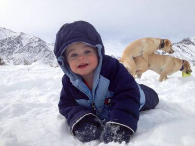 daily picdump 95 pics 11.html - 95 HD Photos | Premium Gallery 2017