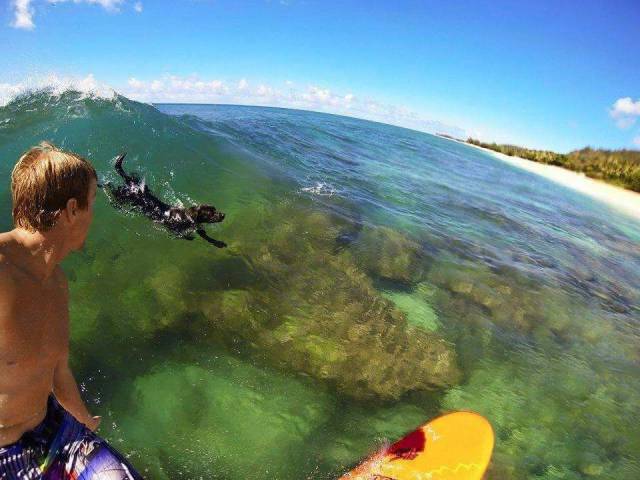 daily picdump 95 pics 11.html - 95 HD Photos | Premium Gallery 2017