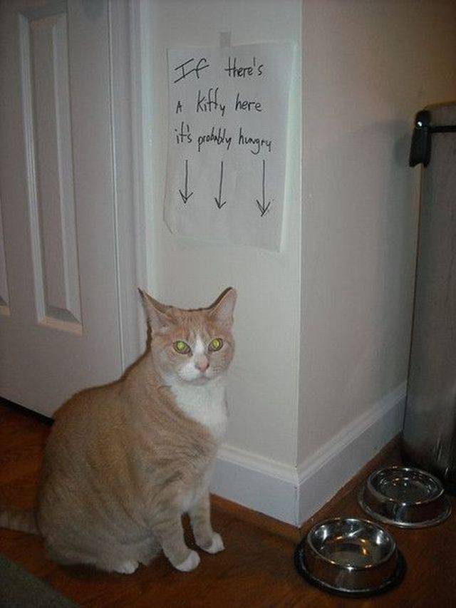 daily picdump 95 pics 11.html - 95 HD Photos | Premium Gallery 2017